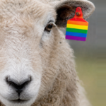 Peut-on être gay, noir, une femme ou un arabe sans être de gauche?
